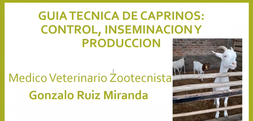 Guía de caprinos - Control, inseminación y producción